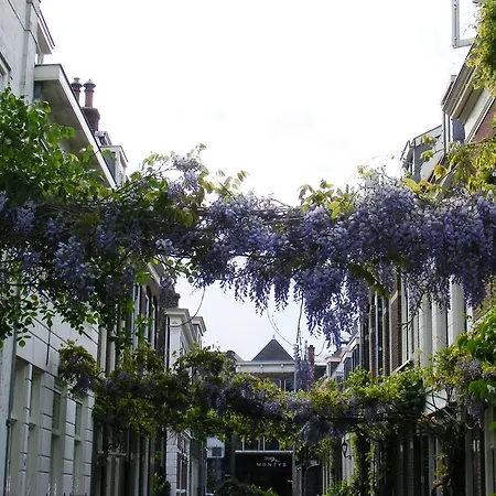 Ferienhaus Where Els Ancient Haarlem